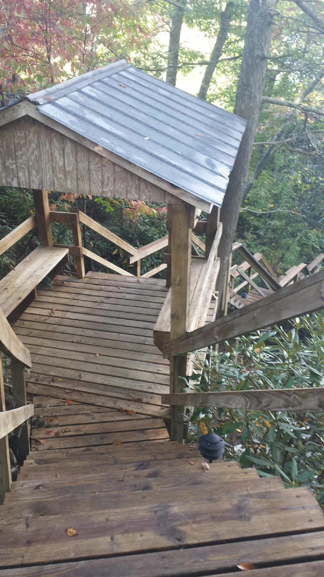 Metal roofed shelter over wooden steps on a wooded walkway — Skylight Repair & Installation work by our crew in Heron